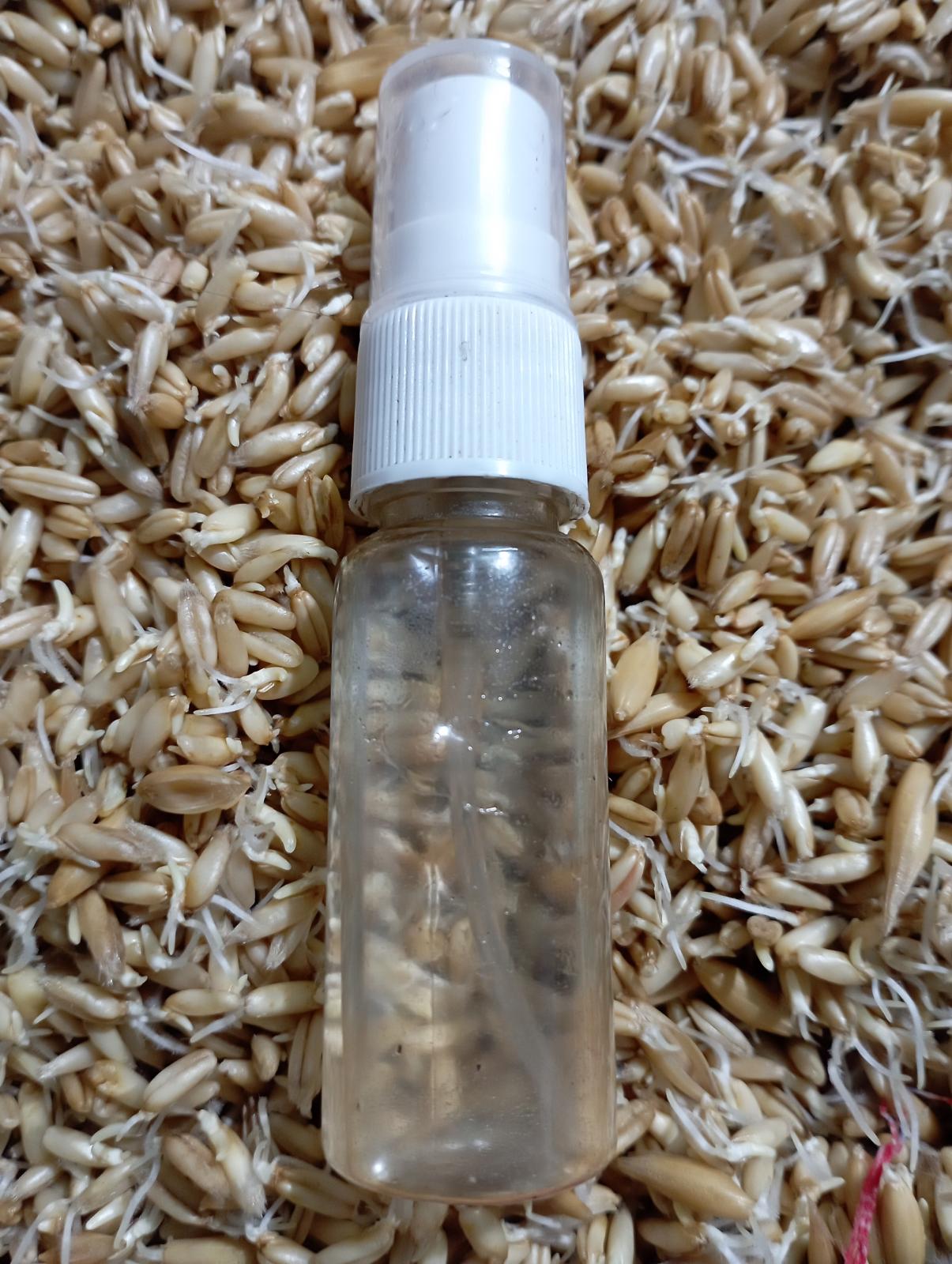 гидролат пророщенного овса