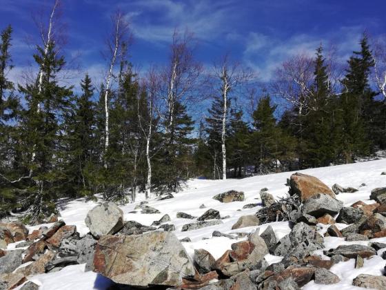 Черноисточинск, Висим, гора Белая - путешествие на Веселые горы фото 6